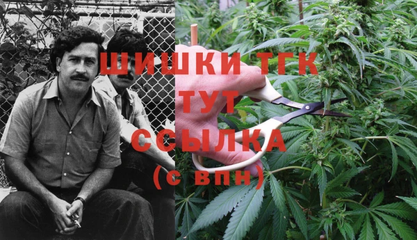 ECSTASY Надым