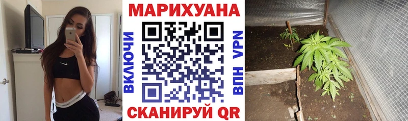 хочу   Тихорецк  Конопля OG Kush 